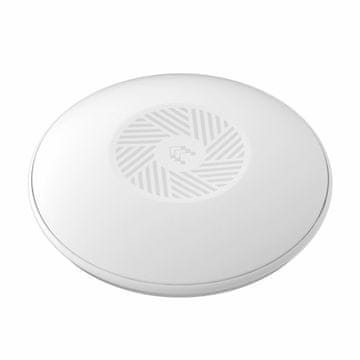 Teltonika WiFi pristupna točka 300Mb TAP100001000