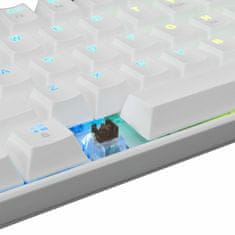 White Shark USB tipkovnica bijelo/smeđe mehaničke tipke GK-2022 SHINOBI-W