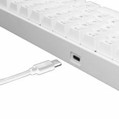 White Shark USB tipkovnica bijelo/smeđe mehaničke tipke GK-2022 SHINOBI-W