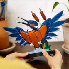 LEGO Kingfisher Bird (10331)