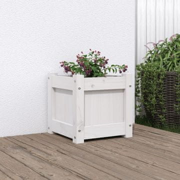 Vidaxl Vrtna žardinjera, bijela, 31x31x31 cm, masivno borovo drvo