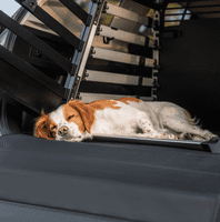 Thule podloga za sanduk za pse, široka