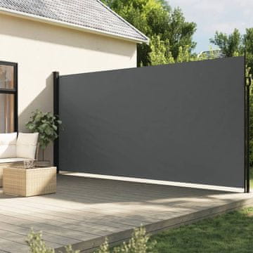 Vidaxl Rolo bočna tenda antracit boje 220x300 cm