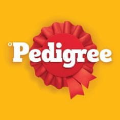 Pedigree Hrana za odrasle pse s govedinom 7 kg