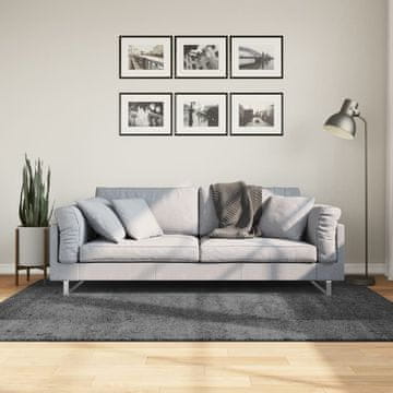 Vidaxl OVIEDO tepih, niska flora, antracit, 140x200 cm