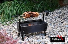 Cattara BARBECUE Roštilj na drveni ugljen, 60 cm, crna