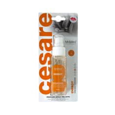 Mr&Mrs Fragrance Osvježivač zraka za automobil Cesare Spray Energy