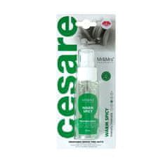 Mr&Mrs Fragrance Osvježivač zraka za automobil Cesare Spray Warm Spicy