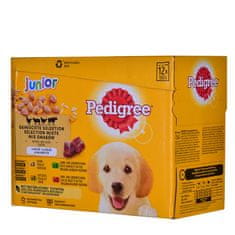 Pedigree PEDIGREE Junior Selection Mix - Mokra hrana za pse - 12x100 g