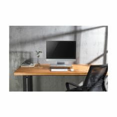 Digitus ALU stolni stalak za monitor srebrni DA-90369