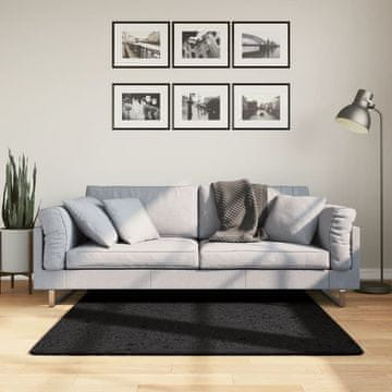 Vidaxl OVIEDO tepih, niski flor, crni, 120x120 cm