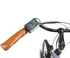 Trevi EMG Marlon električni bicikl, vintage, 71,12 cm, siva