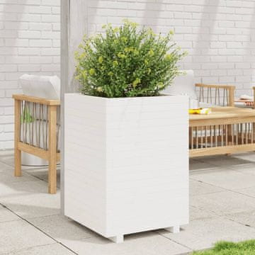 Vidaxl Vrtna žardinjera bijela 50x50x72,5 cm masivni borov drvo
