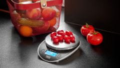 Teesa Osvijetljena digitalna kuhinjska vaga od 0,1g do 5kg