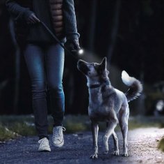 GP C105 ručna LED svjetiljka, 50 lm