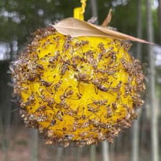 HOME & MARKER® Ljepljiva zamka za muhe, Traka protiv insekata, Lovilac muha, Lepljive naljepnice za insekte (6 kom) | BUGIORB