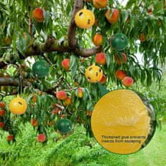 HOME & MARKER® Ljepljiva zamka za muhe, Traka protiv insekata, Lovilac muha, Lepljive naljepnice za insekte (6 kom) | BUGIORB