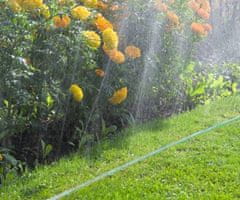 Kinzo Garden crijevo za zalijevanje, prskalica, 15m, zeleno