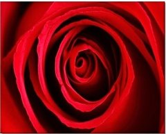 Innova PLATNO ružičasto crveno 40x50