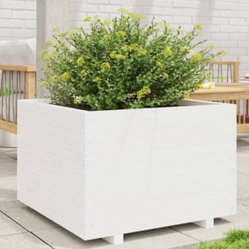 Vidaxl Vrtna žardinjera bijela 70x70x49,5 cm masivni borov drvo
