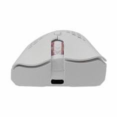 White Shark bežični miš bijeli RGB WGM-5012 LIONEL Gaming