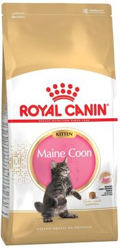 ROY ROYAL CANIN Maine Coon Kitten - suha hrana za mačke, 2 kg