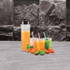 Berlingerhaus BLENDER ZA SMOOTHIE BERLINGER HAUS BH-9416