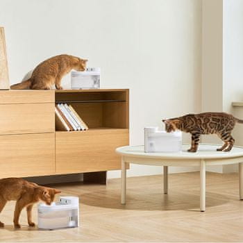  Catlink Pure 3 pametna fontana, WiFi 