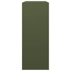 Vidaxl Stalak za drva za ogrjev zeleni 100x40x100 cm čelik