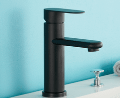 Tavalax Mat crna miješalica za umivaonik s 2 crijeva za toplu i hladnu vodu