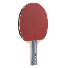 Joola Palica za stolni tenis Team School