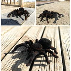 Kruzzel Daljinski upravljač tarantula pauk 25cm LED