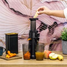 Teesa 130W spori sokovnik za voće i povrće 600 ml