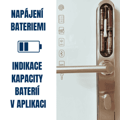 BOT Pametna kvaka za vrata Tuya H1 srebrna 92 mm