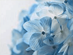 Innova PLATNO PLAVA VARIJACIJA 40x50