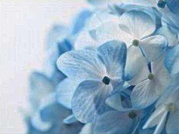 Innova PLATNO PLAVA VARIJACIJA 40x50