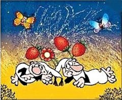 Innova PLATNO K+CH 40x50