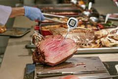 Voltcraft DET4R ubodni termometar -20 do 250°C