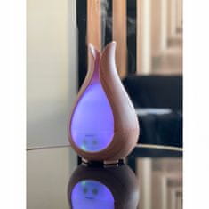 Ruhhy 10W LED RGB ultrazvučni zračni defsor 200ml ispara + miris