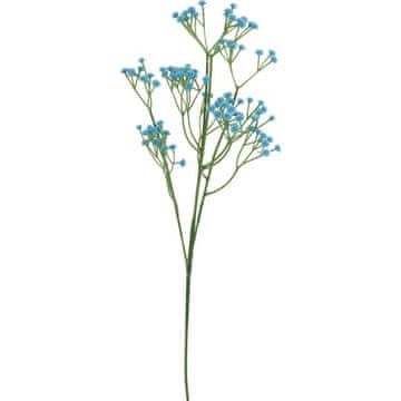 Gipsówka grana, plava boja, 60 cm