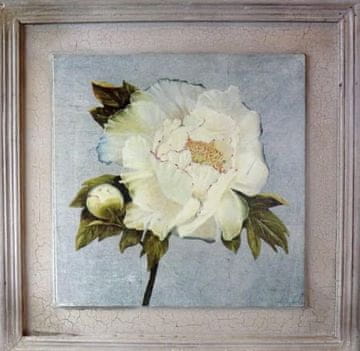 Slika postarane bijele božur 38x38 cm - kolekcija cvijeća
