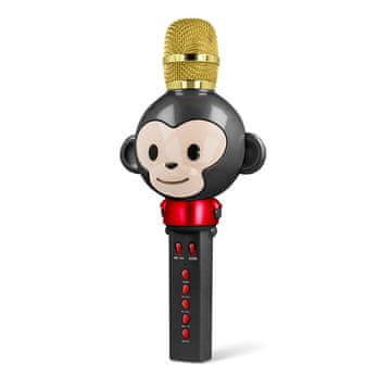 maXlife MX-100 Bluetooth Karaoke mikrofon, crno