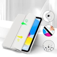 Tech-protect SC Pen Hybrid maska za iPad 10.9'' 10gen 2022, srebro/proziran
