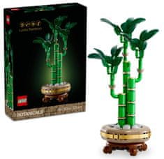 Botanicals 10344 Sretni bambus