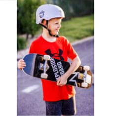 Master Skateboard Explosion Board