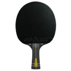 Infinity Carbon palica za stolni tenis