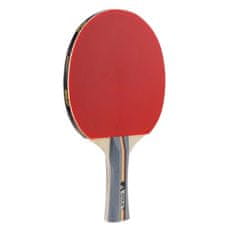 Joola Team School set za stolni tenis