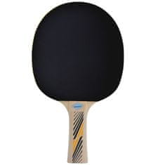 Donic Reket za stolni tenis Legends 300 FSC