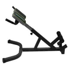 Master Klupa za snagu Hyperextension Bench 45