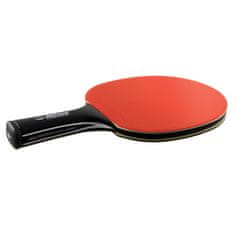 Donic Reket za stolni tenis CarboTec 900 concave